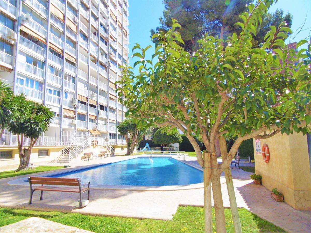 Albatros 13-1 Benidorm Exterior photo